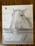 Sketch Book Collection