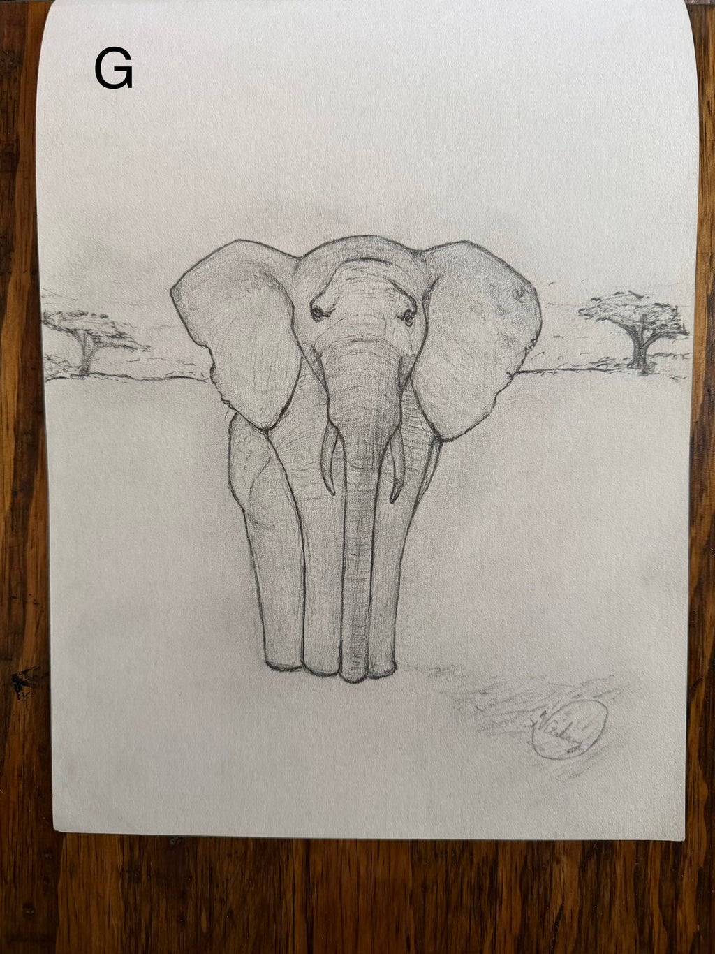Sketch Book Collection