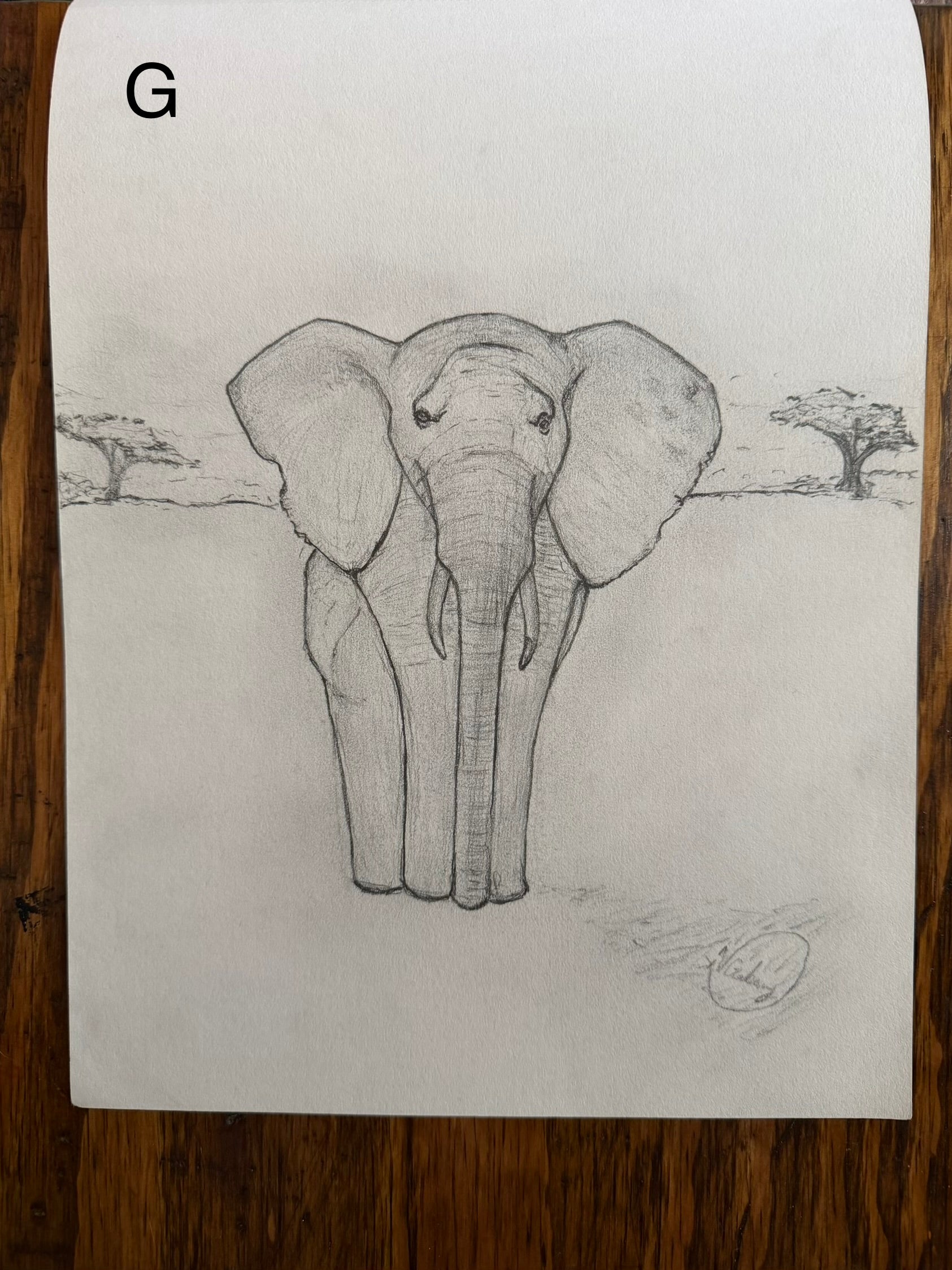 Sketch Book Collection